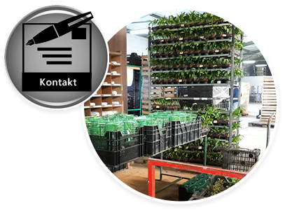 KONTAKT
